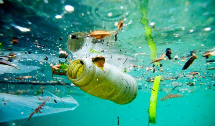 Microplastiche e Sequestro di CO2: un problema emergente per l'oceano