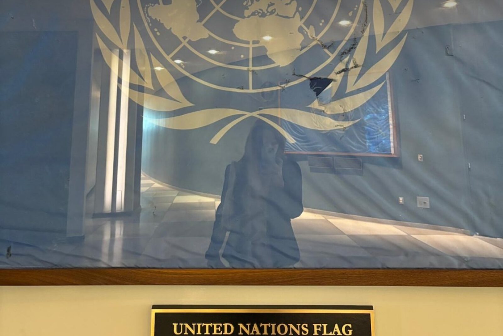 Mondo Internazionale APS interviene alla Quarta Commissione delle Nazioni Unite sul Sahara Occidentale